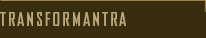 Transformantra